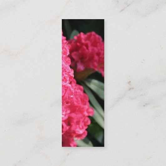 ピンクのシャクナゲ(1) スキニー名刺 (裏面)