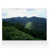 ピンクのシャクヤクの結婚式のテーブルの座席表のテンプレート (内部横(上))