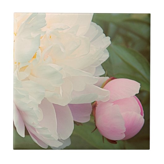 ピンクのシャクヤク及び芽の花のセラミックタイル タイル (正面)