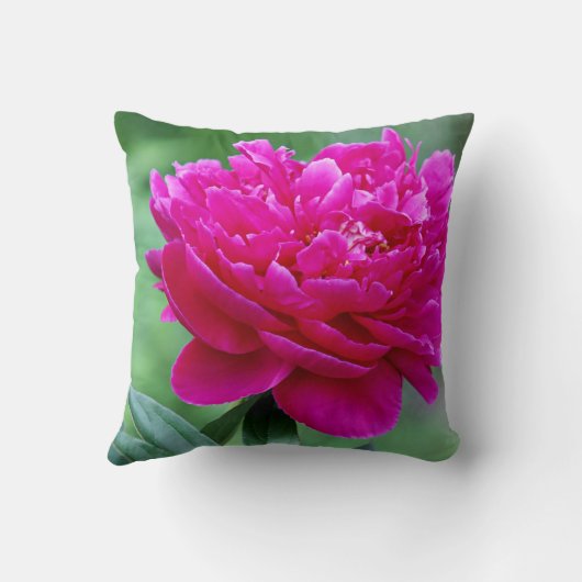 ピンクのシャクヤク クッション (裏面)