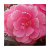 ピンクのシュウカイドウの花 タイル (正面)