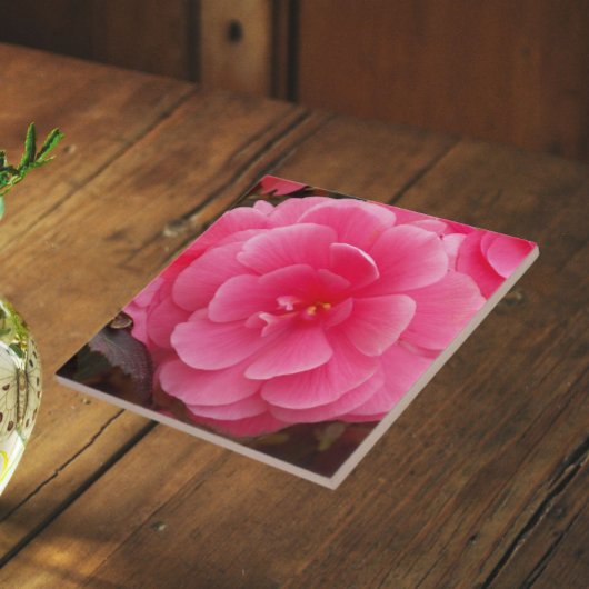 ピンクのシュウカイドウの花 タイル