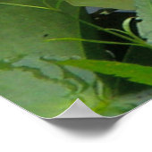 ピンクのスイリポスター ポスター (角)