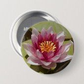 ピンクのスイレンのクローズアップの写真 缶バッジ (正面&裏面)