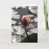 ピンクのスイレンカード カード (正面)