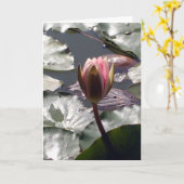 ピンクのスイレンカード カード (黄色い花)