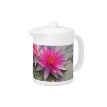 ピンクのスイレン