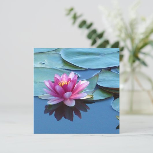 ピンクのスイレン カード (スタンド正面)