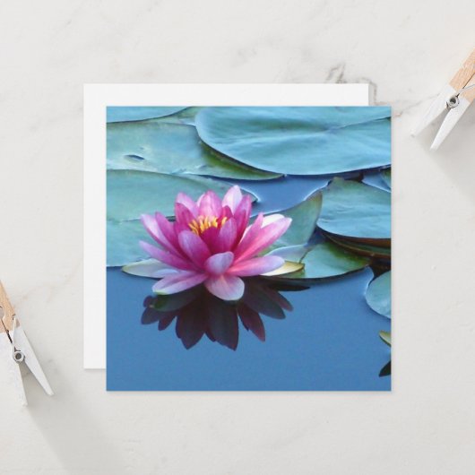 ピンクのスイレン カード (正面/裏面インサイチュ)