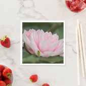 ピンクのスイレン スタンダードカクテルナプキン (インサイチュ)