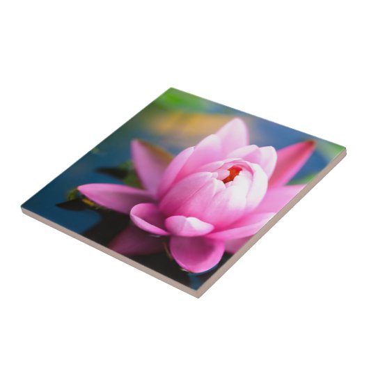 ピンクのスイレン タイル (側面)