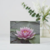 ピンクのスイレン ポストカード (スタンド正面)