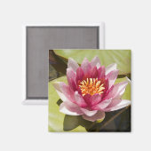 ピンクのスイレン マグネット (正面/裏面)