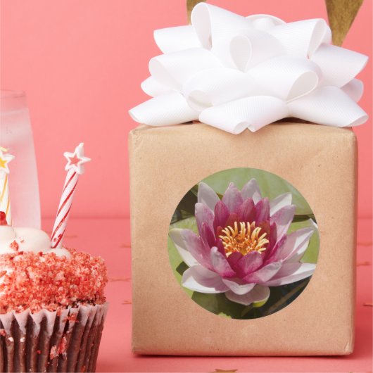 ピンクのスイレン ラウンドシール (パーティー)