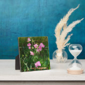 ピンクのスイートピー フォトプラーク (インサイチュ)