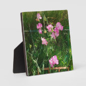 ピンクのスイートピー フォトプラーク (正面)