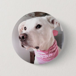 ピンクのスカーフを巻いたかわいい白い子犬の写真 缶バッジ