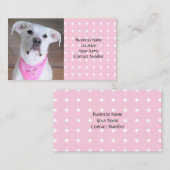 ピンクのスカーフを巻いたかわいい白い子犬 名刺 (正面/裏面)