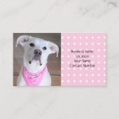 ピンクのスカーフを巻いたかわいい白い子犬 名刺 (正面)