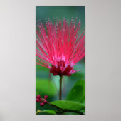 ピンクのスパイク ポスター (正面)