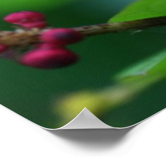 ピンクのスパイク ポスター (角)