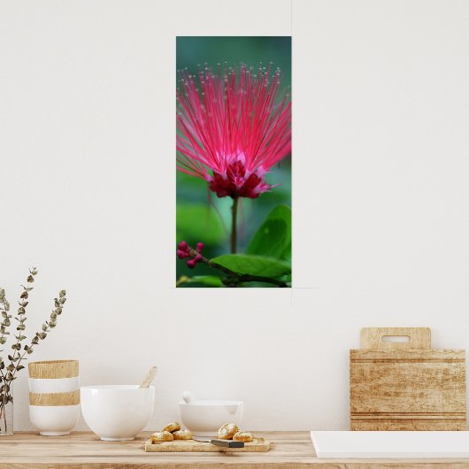 ピンクのスパイク ポスター (キッチン)