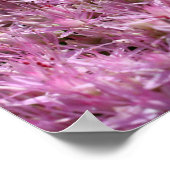 ピンクのセダム秋の花が閉まる ポスター (角)