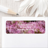 ピンクのセダム秋の花の倍率住所 ラベル (インサイチュ)