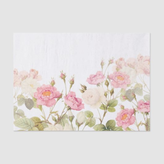 ピンクのセピア色のヴィンテージのバラ草原のイラストレーション 薄葉紙 (正面)