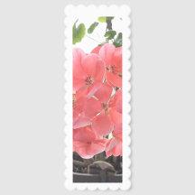 ピンクのゼラニウムのブックマーク - 花の自然写真