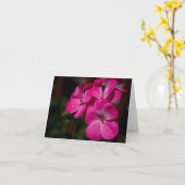 ピンクのゼラニウムのメッセージカード カード (黄色い花)