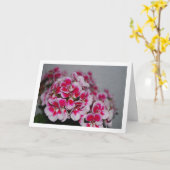 ピンクのゼラニウムの花、フラワーポートレート カード (黄色い花)