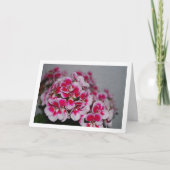 ピンクのゼラニウムの花、フローラポートレート カード (正面)