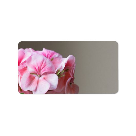 ピンクのゼラニウムの花 ラベル (正面)
