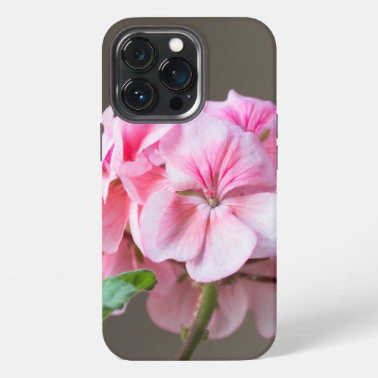 ピンクのゼラニウムの花 iPhoneケース (裏面)