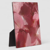 ピンクのゼラニウム：ほぼ無地のライトピンク フォトプラーク (側面)