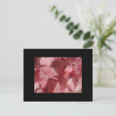 ピンクのゼラニウム:ほぼ無地のライトピンク ポストカード (スタンド正面)