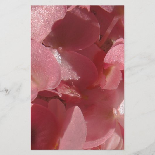 ピンクのゼラニウム：ほぼ無地のライトピンク 便箋 (正面)