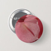 ピンクのゼラニウム：ほぼ無地のライトピンク 缶バッジ (正面&裏面)