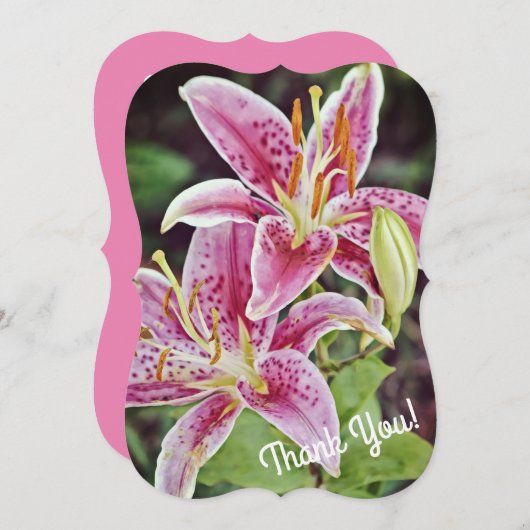 ピンクのタイガーリリーの花の感謝を表す平らなカード サンキューカード (正面/裏面)