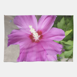 ピンクのタチアオイの花 キッチン タオル