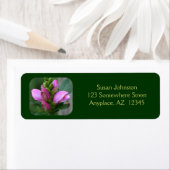 ピンクのターレヘッドの花のアドレス ラベル (インサイチュ)