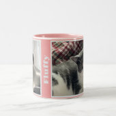 ピンクのダブルペットの写真と名前マグカップ ツートーンマグカップ (中央)