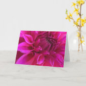 ピンクのダリアの挨拶状 カード (黄色い花)