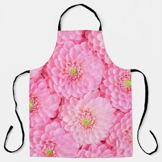 ピンクのダリアの花の背景。上面ビュー エプロン (正面)