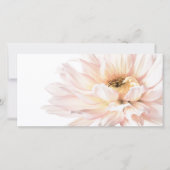 ピンクのダリアの花-ダリアはテンプレートをカスタマイズ (正面)