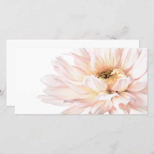 ピンクのダリアの花-ダリアはテンプレートをカスタマイズ (正面/裏面)