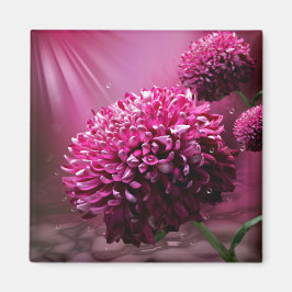 ピンクのダリア花の水滴サンライト マグネット