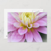 ピンクのダリア花 ポストカード (正面/裏面)