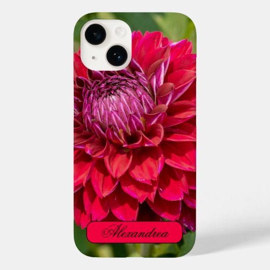 ピンクのダリア、美しい花の写真 Case-Mate iPhoneケース (裏面)